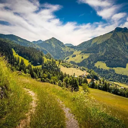 In Near Slopes Flachau