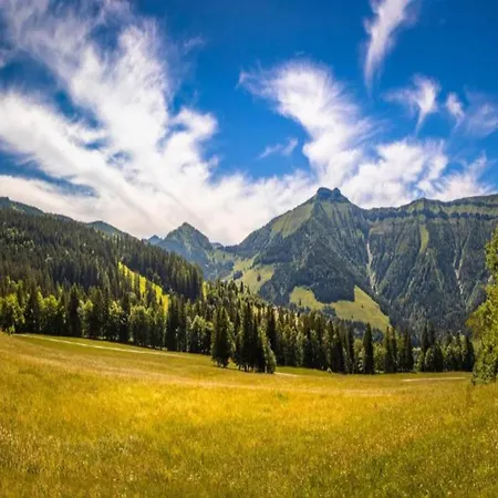 In Near Slopes * Flachau