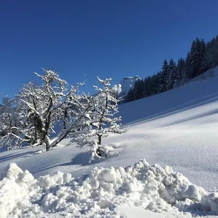 Lägenhet In Near Slopes