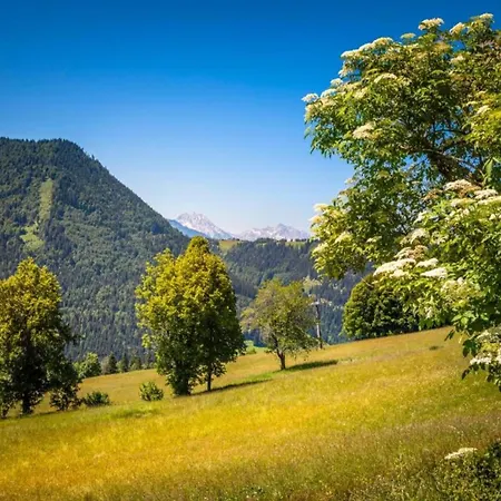 In Near Slopes * Flachau